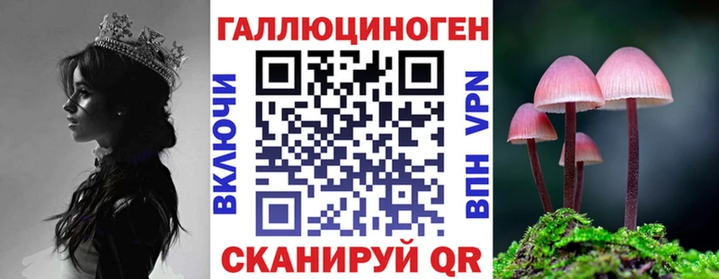 сколько стоит  Чебаркуль  Псилоцибиновые грибы Cubensis 